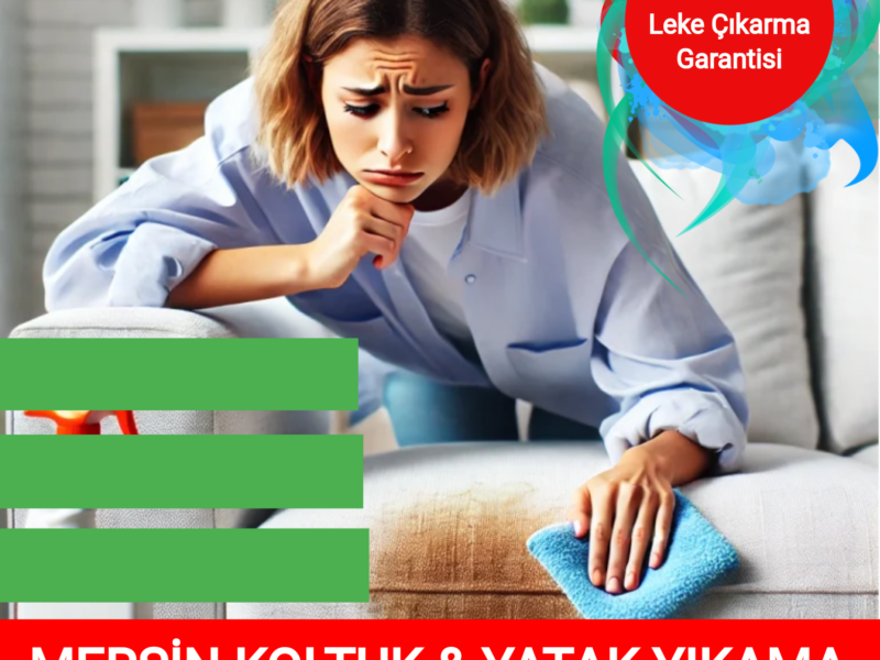 Mersin Haydi Temizlik