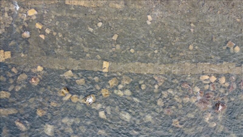 2025 02 10T064403.000Z 67a9a005041f1148