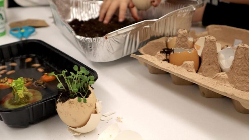 2025 03 08T080000.000Z 53485 file