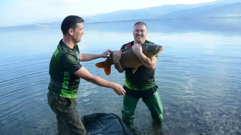 2025 03 15T112400.000Z 36576 file