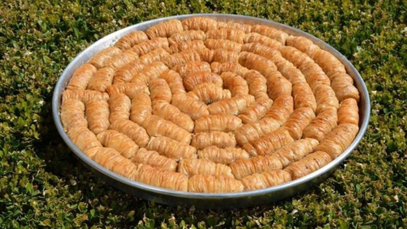 2025 03 24T150654.000Z 67e1716f7d8d8558