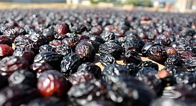 2025 03 29T090957.000Z file