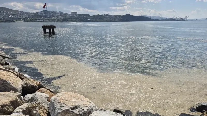 2025 04 06T120200.000Z 74400 file