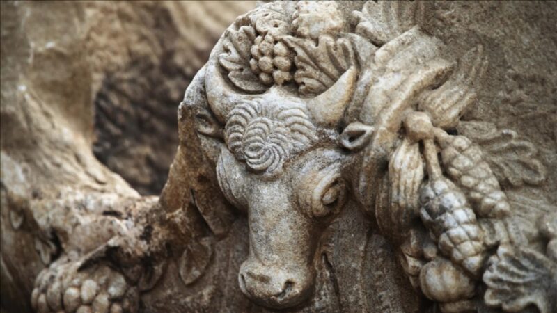 2025 04 28T064235.000Z 680f22765d54c101