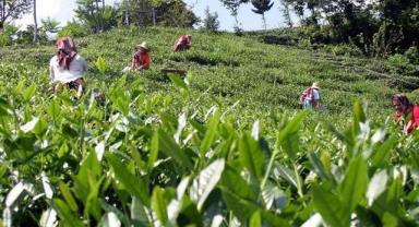 2025 05 13T122154.000Z file