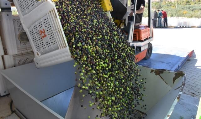 Fri 24 Oct 2025 123202 0300 file