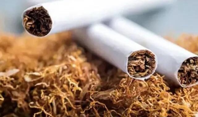 Fri 24 Oct 2025 151304 0300 file