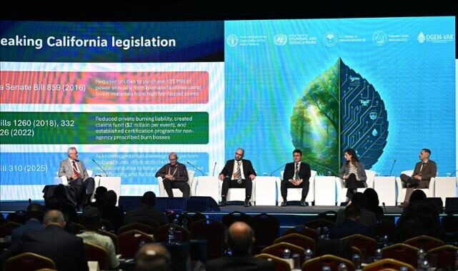 Mon 20 Oct 2025 184742 0300 file