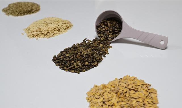 Mon 27 Oct 2025 112445 0300 file