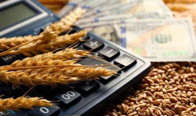 Sun 19 Oct 2025 110707 0300 file