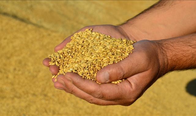 Thu 16 Oct 2025 102343 0300 file