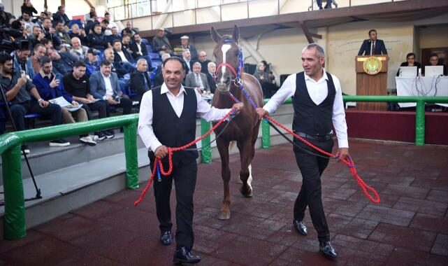 Tue 21 Oct 2025 153210 0300 file