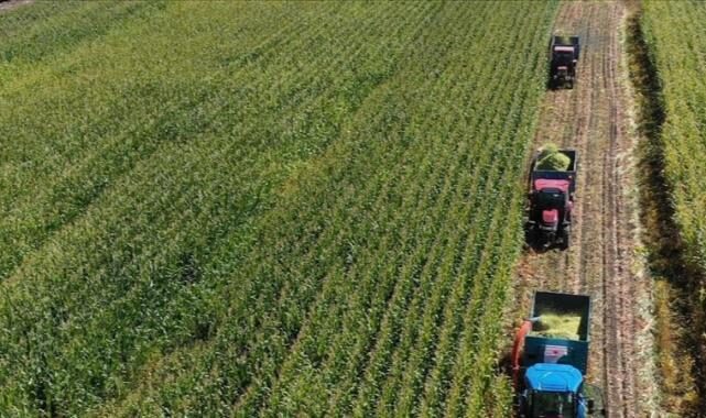 Fri 07 Nov 2025 083904 0300 file