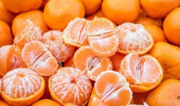 Fri 07 Nov 2025 114038 0300 file