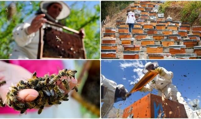 Mon 17 Nov 2025 141559 0300 file