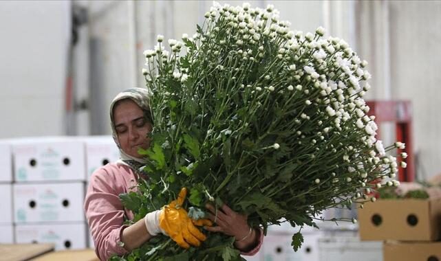 Sat 15 Nov 2025 120622 0300 file