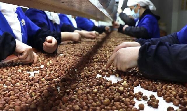 Thu 06 Nov 2025 134443 0300 file