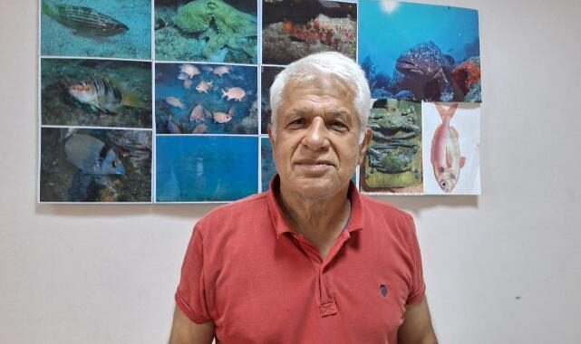 Thu 13 Nov 2025 114633 0300 file