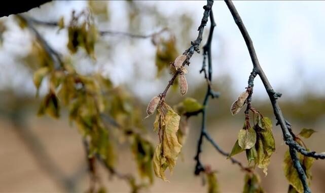 Tue 04 Nov 2025 160839 0300 file