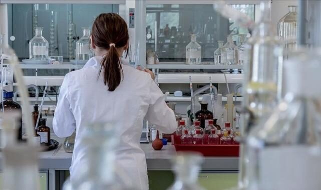 Tue 11 Nov 2025 132430 0300 file