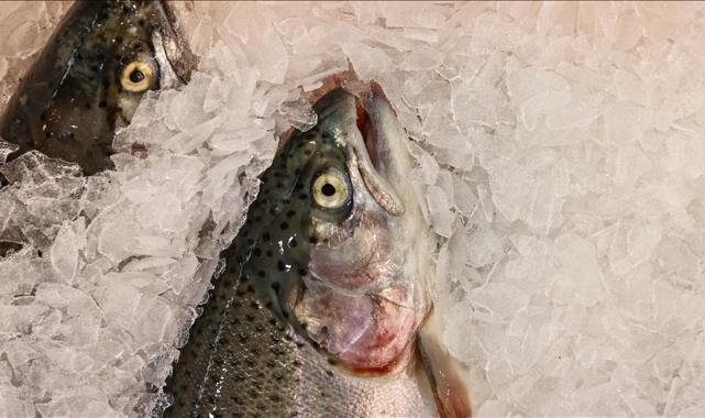 Wed 12 Nov 2025 132358 0300 file