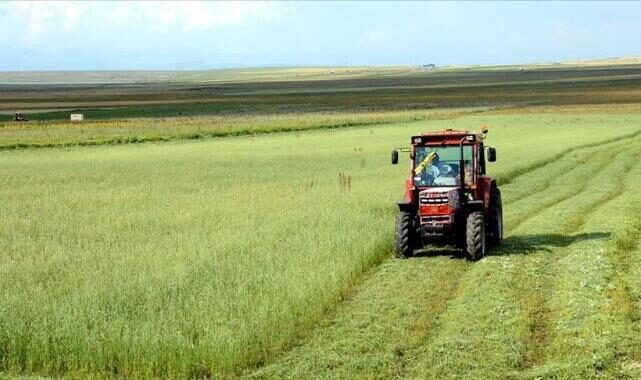 Mon 22 Dec 2025 103254 0300 file