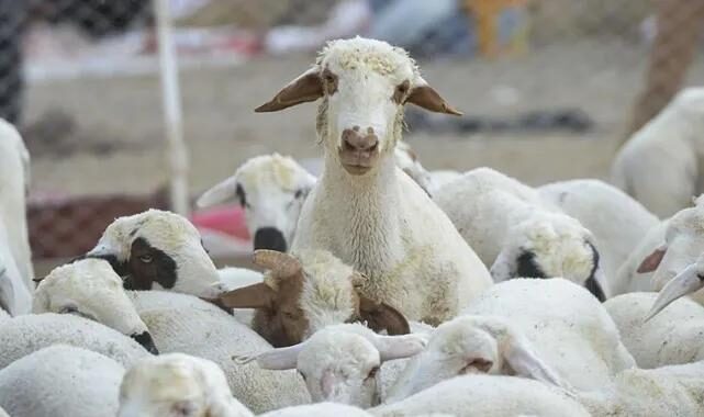 Sun 07 Dec 2025 093615 0300 file