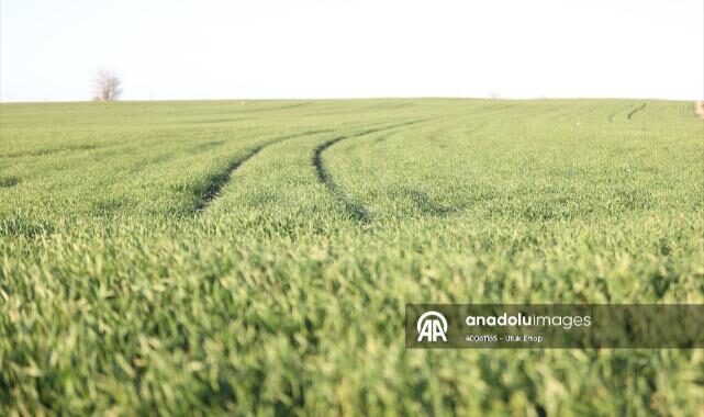 Wed 24 Dec 2025 102122 0300 file