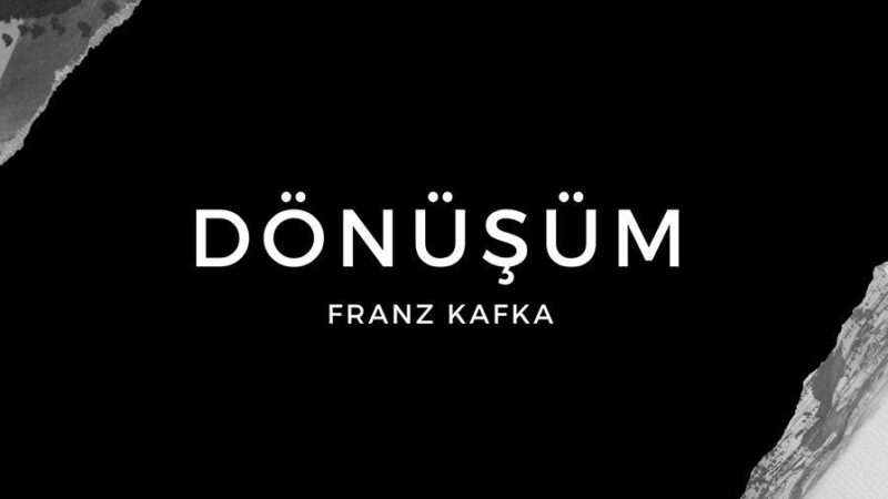 donusum-franz-kafka