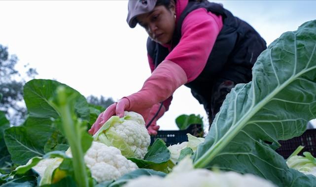 Fri 16 Jan 2026 164125 0300 file