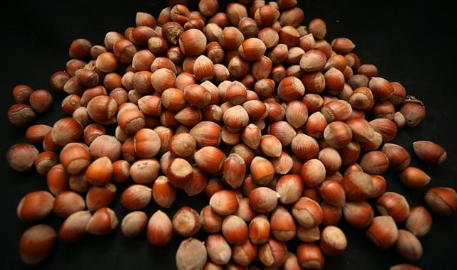 Sat 17 Jan 2026 120533 0300 file