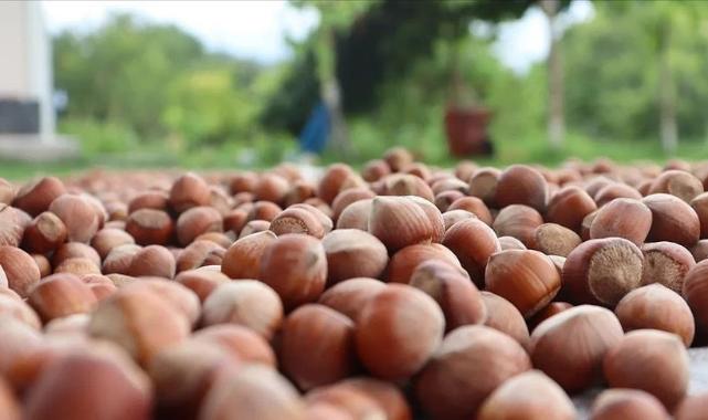 Tue 06 Jan 2026 182405 0300 file