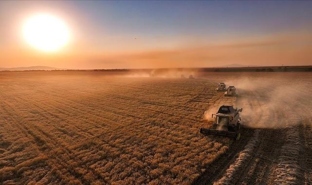 Tue 13 Jan 2026 112919 0300 file