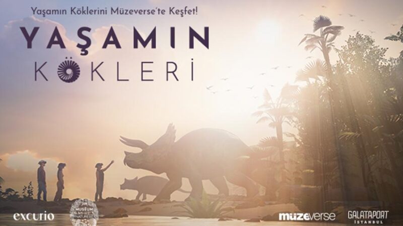yasamin kokleri life chronicles gebze org